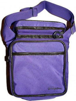 Little Company Today Cooling Bag luiertas - Paars