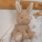 Little Dutch - Baby Bunny - Muziekdoosje