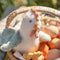 Little Dutch - Kip 17cm - Little Farm