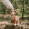 Little Dutch Knuffel Hert - Fairy Garden