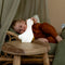 Little Dutch nachtlampje Little Goose