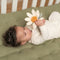 Little Dutch - Rammelaar bloem - Little Farm