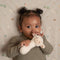 Little Dutch - Rammelaar Schaap - Little Farm