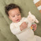Little Dutch - Rammelaar Schaap - Little Farm