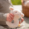 Little Dutch - Rammelaar Schaap - Little Farm