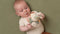 Little Dutch - Ringrammelaar kip - Little Farm