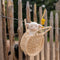 Little Dutch - Schaap 17 cm - Little Farm