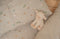 Little Dutch - Schaap 17 cm - Little Farm
