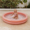 Little Dutch Zwembad 150 cm Ocean Dreams Roze