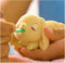 Little Live Pets - Mama Surprise Mini - Mama Konijntje krijgt 2 baby's en soms wel 3 óf 4 baby's