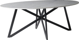 Livingfurn - Eetkamertafel DT- Marble Oval Web White 200cm - Marmer / Gecoat Staal