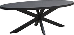 Livingfurn - Eetkamertafel Kala Oval Spider 160cm - Mangohout / Gecoat Staal