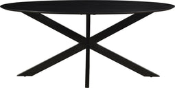 Livingfurn - Eetkamertafel Oslo Oval Spider Black 160 cm - Mangohout / Gecoat Staal