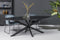 Livingfurn - Eetkamertafel Oslo Oval Spider Black 160 cm - Mangohout / Gecoat Staal