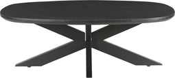 Livingfurn - Salontafel Jesper Black 120 - Mangohout / Gecoat Staal