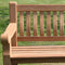 Livingfurn - Tuinbank Patrick Bench - Teakhout - 50x200x45