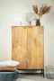 Liviza Opbergkast Mistral - Mangohout - Rechthoek Bruin - 160 cm , 100 cm , 45 cm