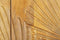 Liviza Opbergkast Mistral - Mangohout - Rechthoek Bruin - 160 cm , 100 cm , 45 cm