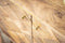 Liviza Opbergkast Savion - Mangohout - Rechthoek Bruin - 90 cm , 80 cm , 40 cm