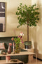 Mica Decorations Ficus Kunstplant in Bloempot - H150 x Ø50 cm - Groen