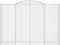 vidaXL - Schanskorven - 2 - st - gewelfd - 300x50x200/220 - cm - ijzer