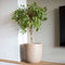 Capi Europe - Bloempot bol Waste Smooth NL - 43x41 - Terrazzo beige - Opening Ø35 - Bloempot voor binnen en buiten - Levenslang garantie - Breukbestendig - 100% Recyclebaar - CO2 Neutraal geproduceerd - KTB933