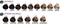 Farmavita - Life Color Plus - 100ML - 6.52 Dark Blonde Choco Mahogany
