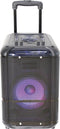 Denver Karaoke Set Incl. Microfoon - Discolichten - Bluetooth Speaker Partybox - 8 inch - AUX / USB / MicroSD / FM Radio - TSP306