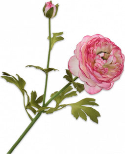 Silk-ka Kunstbloem-Zijden Bloem Ranonkel Steel Roze 65 cm Voordeelaanbod Per 2 Stuks