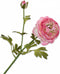 Silk-ka Kunstbloem-Zijden Bloem Ranonkel Steel Roze 65 cm Voordeelaanbod Per 2 Stuks