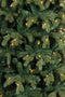 Triumph Tree Sherwood - Kunstkerstboom 155 cm - LED-verlichting - Groen