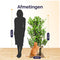 Viervoeter Kattenboom - Krabpaal - 160 cm - Verwisselbare bladeren - Groen Bruin