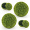 Coast Kunstbuxusballen - Set van 2 - Ø 40 & 50 cm - UV- en Waterbestendig Groen (2 stuks)