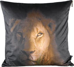 PTMD Raf Vierkant Kussen Leeuw - 45 x 10 x 45 cm - Velvet - Bruin