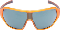Formule 1 eyewear zonnebril - F1S1030