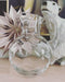 Anna Von Lipa Waterkan Glas Swirl Kan Karaf 2L Crystal