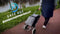 Safe Age® Boodschappentrolley - 45L - Koelvak - Opvouwbaar - Grijs