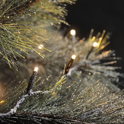 Konstsmide 3956-807 slinger Zwart Kunststof