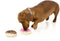 FuzzYard pluche Donuts - Default Title