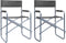 vidaXL - Regisseursstoelen - 2 - st - staal - grijs