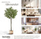 tectake® Kunstmatige Olijfboom Oleand - Kunstplant - Realistische Bladeren en Olijven - Hoogte: 150 cm