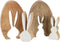 J-Line decoratie Konijn Puzzel - hout - naturel/wit - small - 2 stuks - paasdecoratie