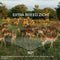 Denver WCT8020W - Wildcamera - Nachtzicht - FULL HD - Waterdicht - WiFi - Live beelden (APP)