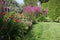 ECOstyle Tuinmest Organische Meststof - Border & Siertuin - Natuurlijke Meststof Gazon - 120 Dagen Voeding- 50 M² - 5 KG