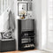 SoBuy FSR165-H-SCH - Schoenenkast - 3 Flappen - Zwart