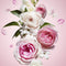 Viktor & Rolf Flowerbomb 50 ml - Eau de Parfum - Damesparfum