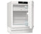 Inbouw Koelkast Gorenje RBIU609EA1