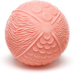 Lanco - Sensory bijtspeeltje bal - Stimuleert 5 zintuigen - Roze