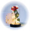 Nonchi Roos in Glazen Stolp - LED Verlichting - Gouden Roos - Cadeau voor Vrouw - Inclusief Giftbox