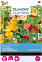 3 stuks Flowering climbers tropaeolum jewel of africaBuzzy